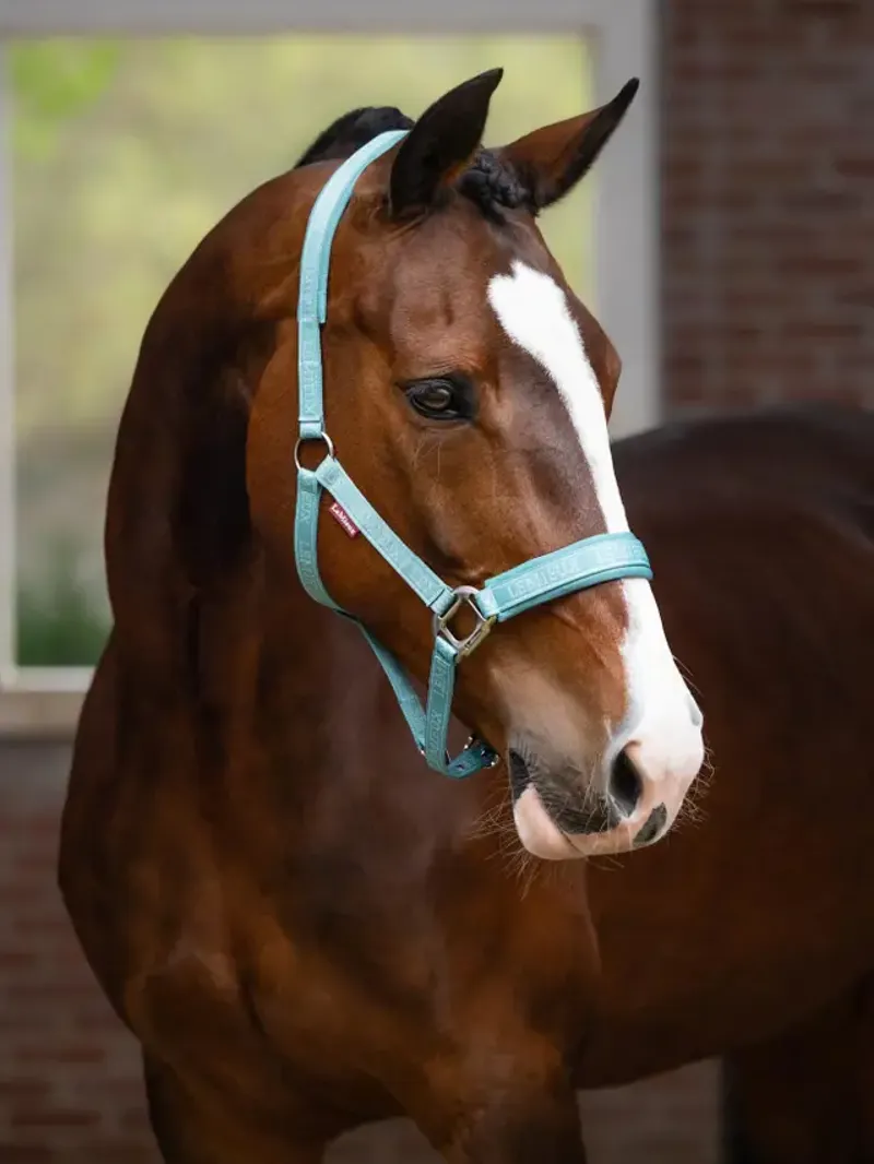 LeMieux Logo Headcollar Lagoon-1