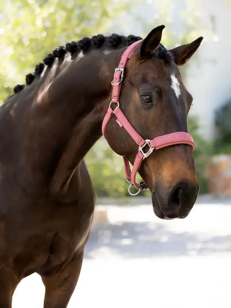 LeMieux Essence Headcollar Rosewood-1