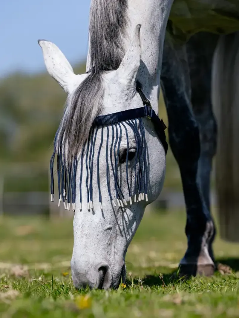 LeMieux Fly Fringe Dusk-1