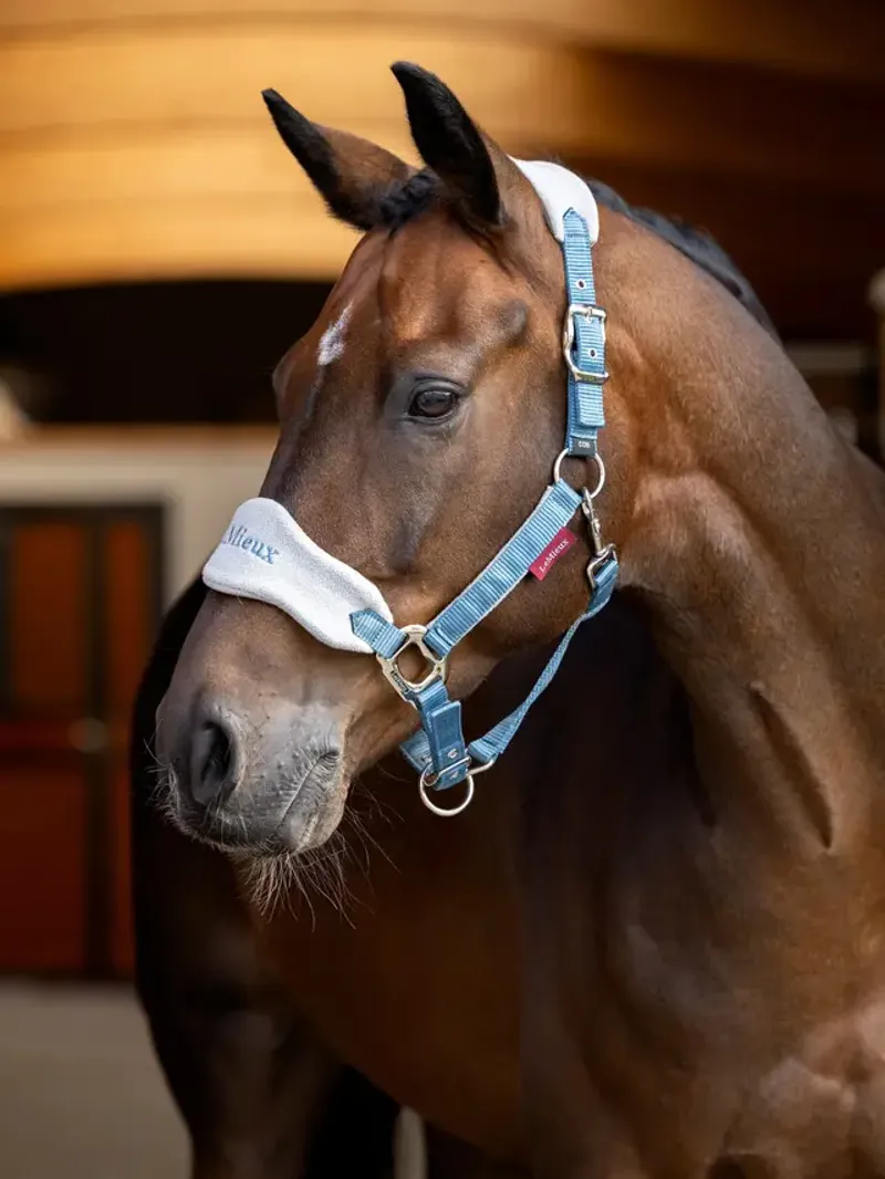 LeMieux Vogue Headcollar and Leadrope Ice Blue-1