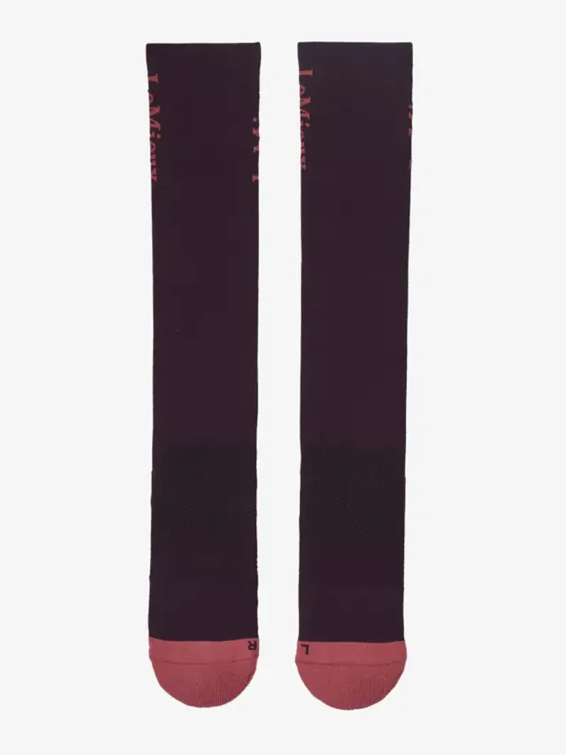 LeMieux Performance Socks Damson