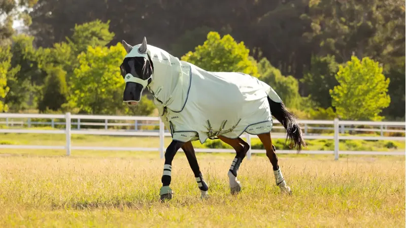 Arika Armour-Tek Fly Rug Macaron