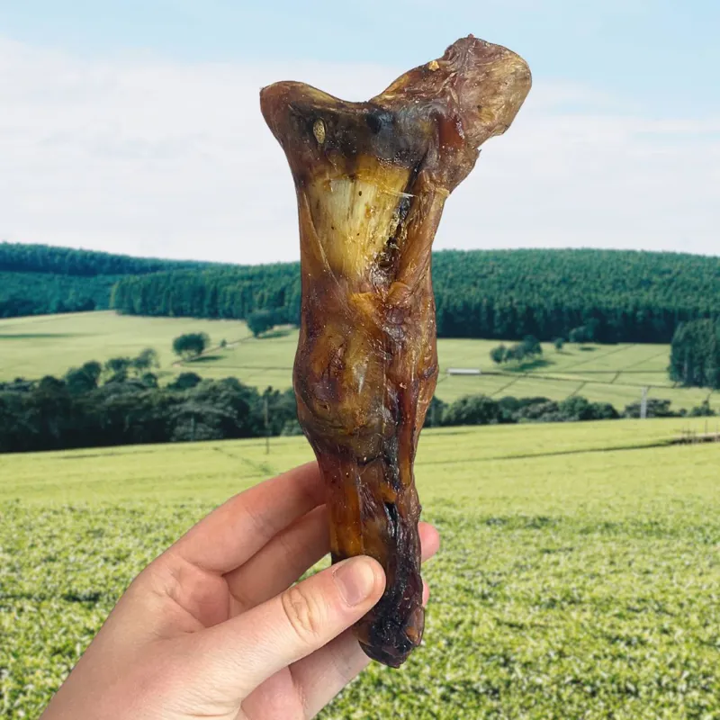 Ostrich Foot Large