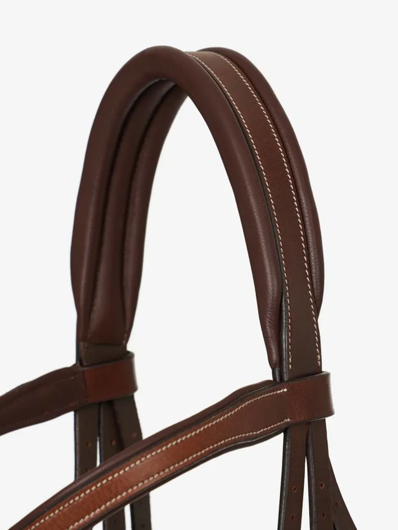 LeMieux Arika Grackle Bridle In Havana/Silver-3