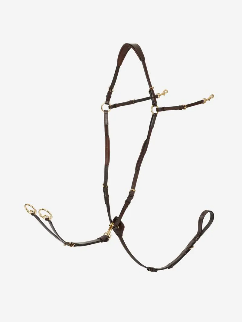 LeMieux Breastplate with D-Ring Attachment in Havana/Brass