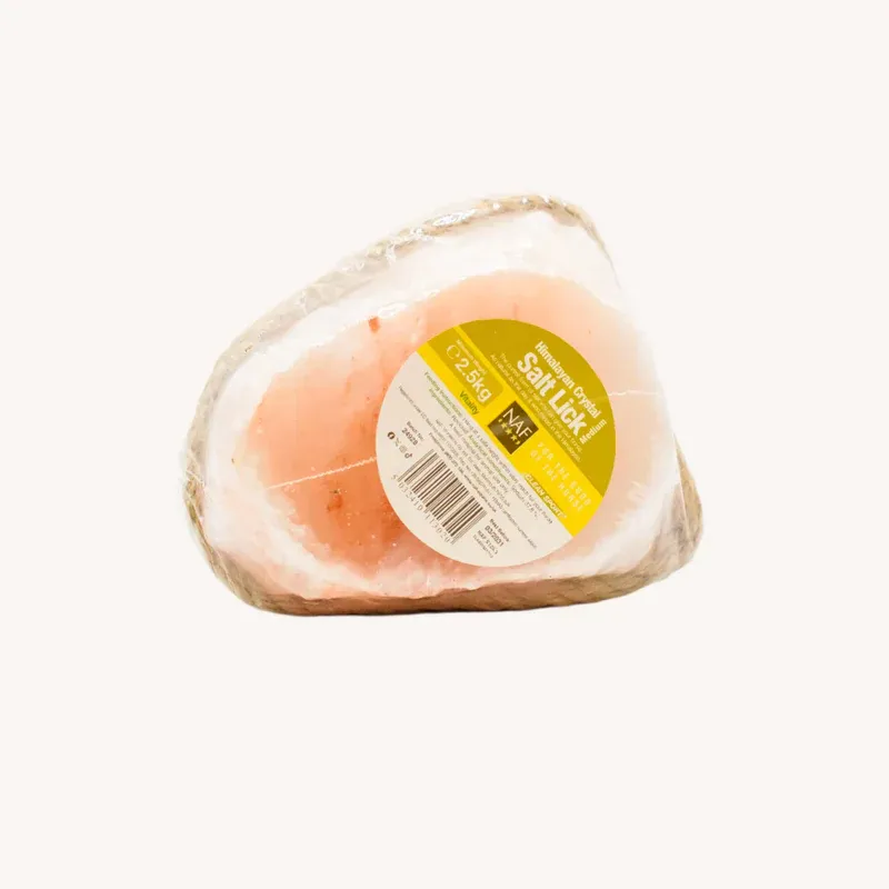 NAF Medium Himalayan Salt Lick