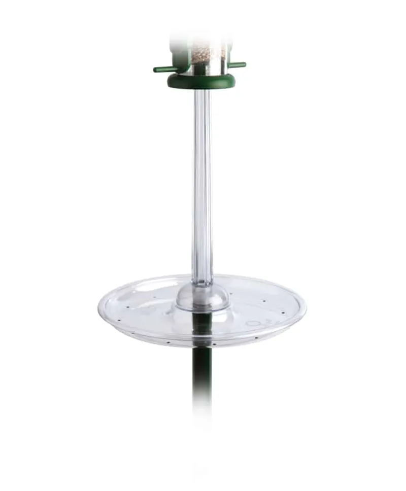 Jacobi Jayne Pigeon Spacer