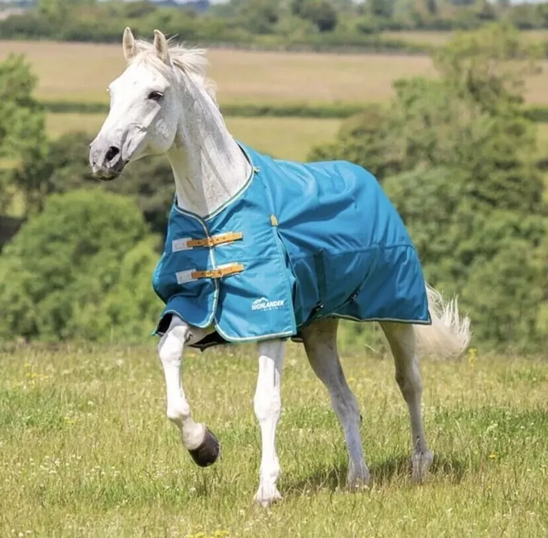 Highlander Original Lite Turnout Rug Teal