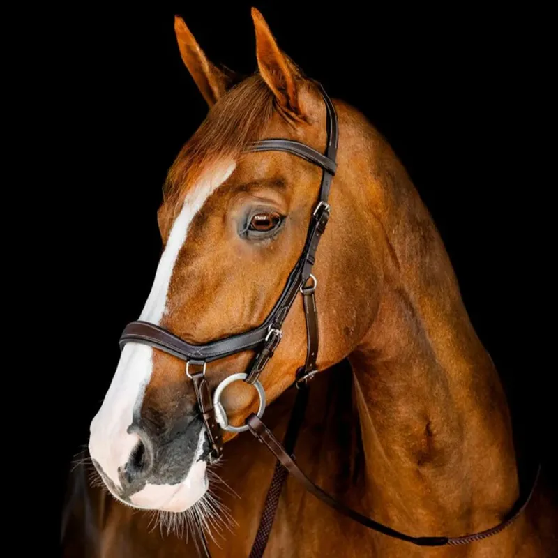 Rambo Micklem Competition Bridle Black Large Horse