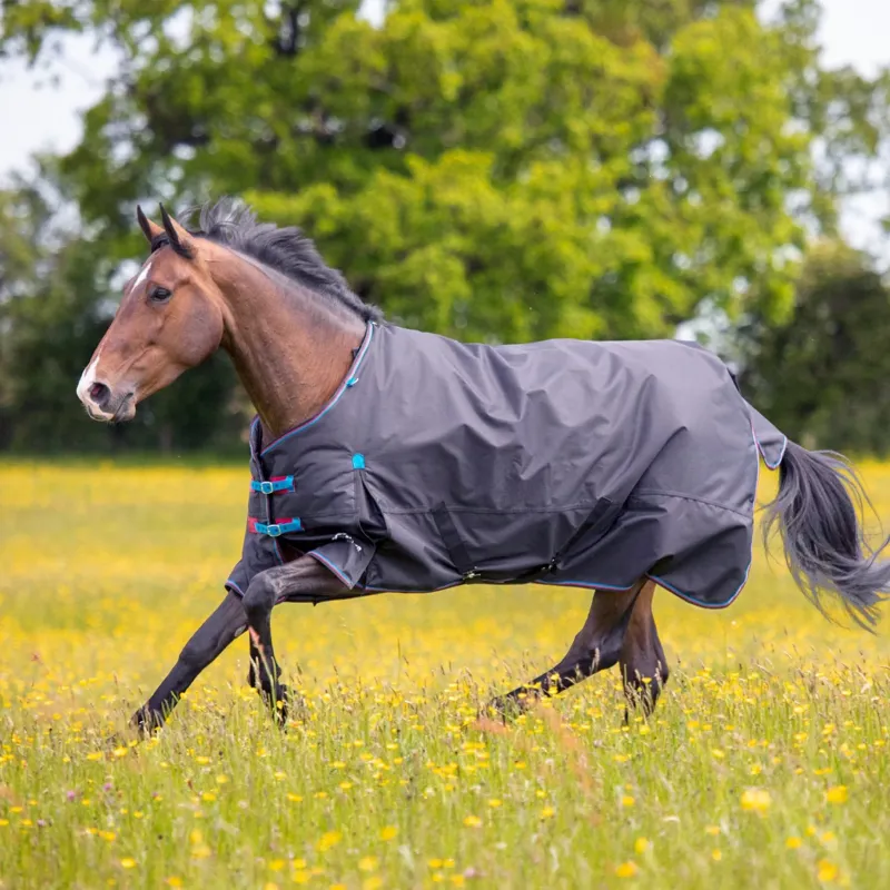 Highlander Original 200 Turnout Rug in Black
