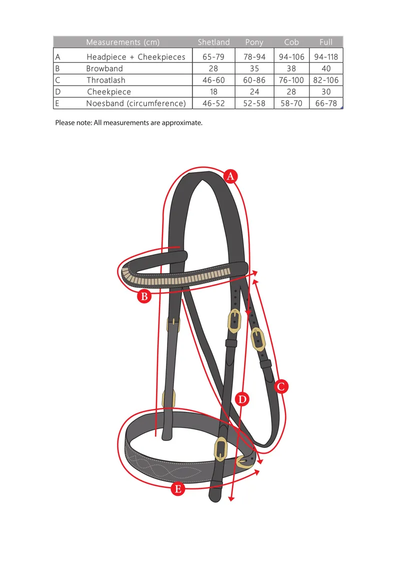 Velociti GARA Fancy Stitched Inhand Bridle BLACK-1