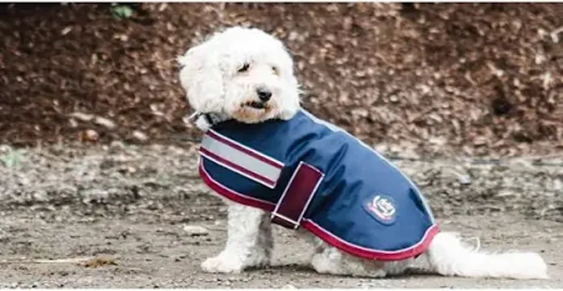 Mackey Buster Waterproof Dog Rug
