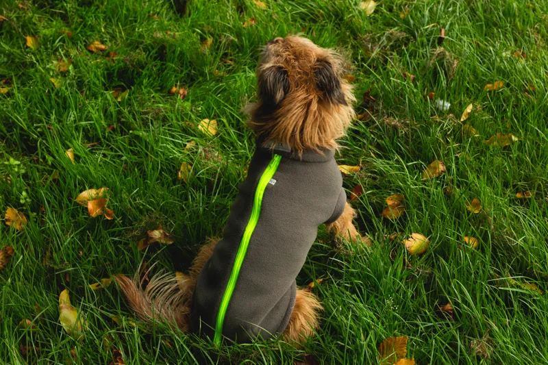 Stix Large Terrier Dog Coat