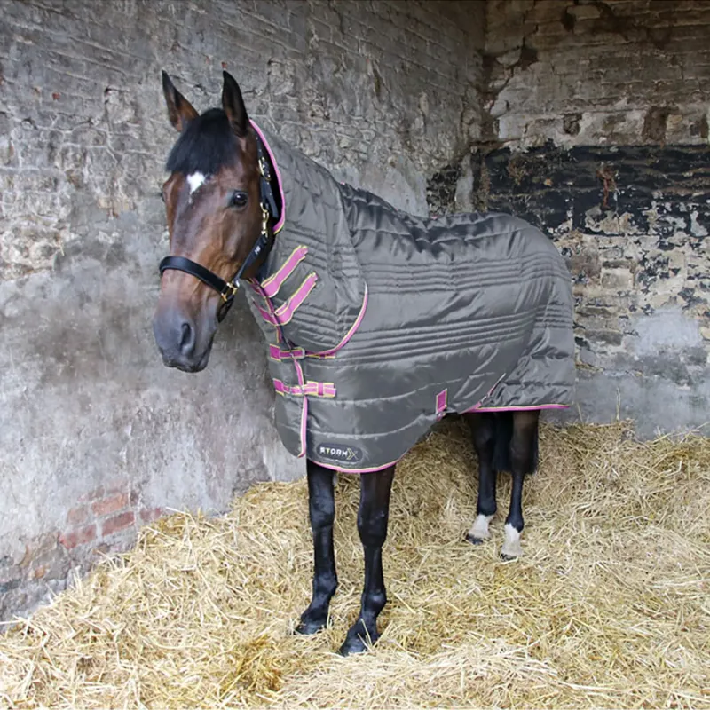 StormX Original 300 Combi Stable Rug - - Grey/Pink/Yellow