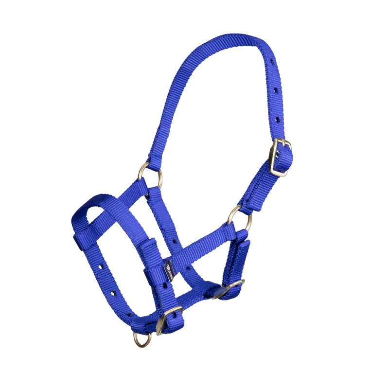 ARMA Foal Headcollar ROYAL