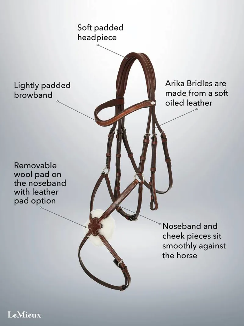 LeMieux Arika Grackle Bridle In Havana/Silver-5