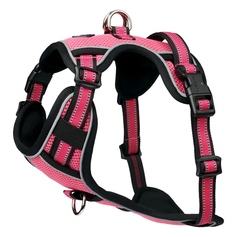LeMieux Winchester Dog Harness Watermelon