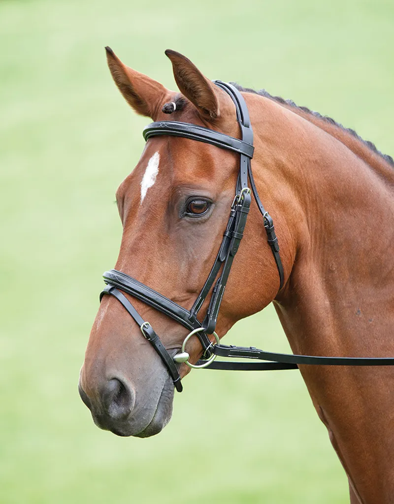 Salisbury Bodenham Bridle In Black